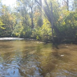 Meet your Posher, Gabe